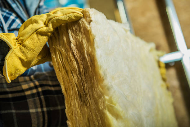 Best Specialty Insulation in Calumet Park, IL
