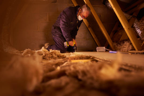 Best Residential Insulation in Calumet Park, IL